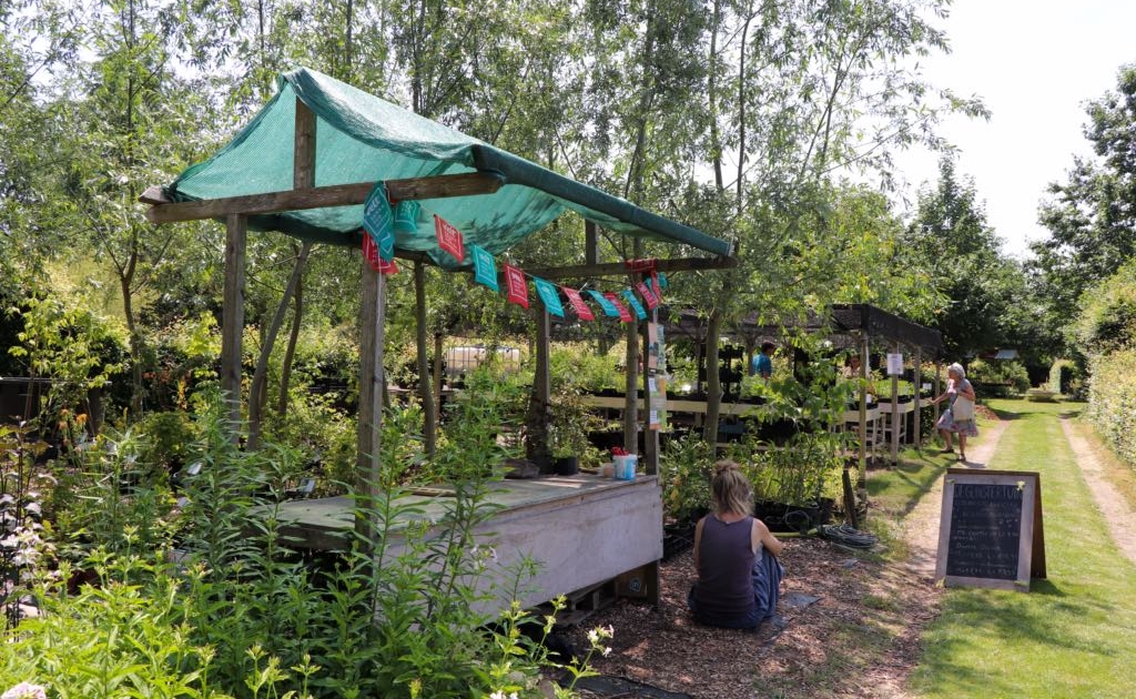 Glinstertuin-2