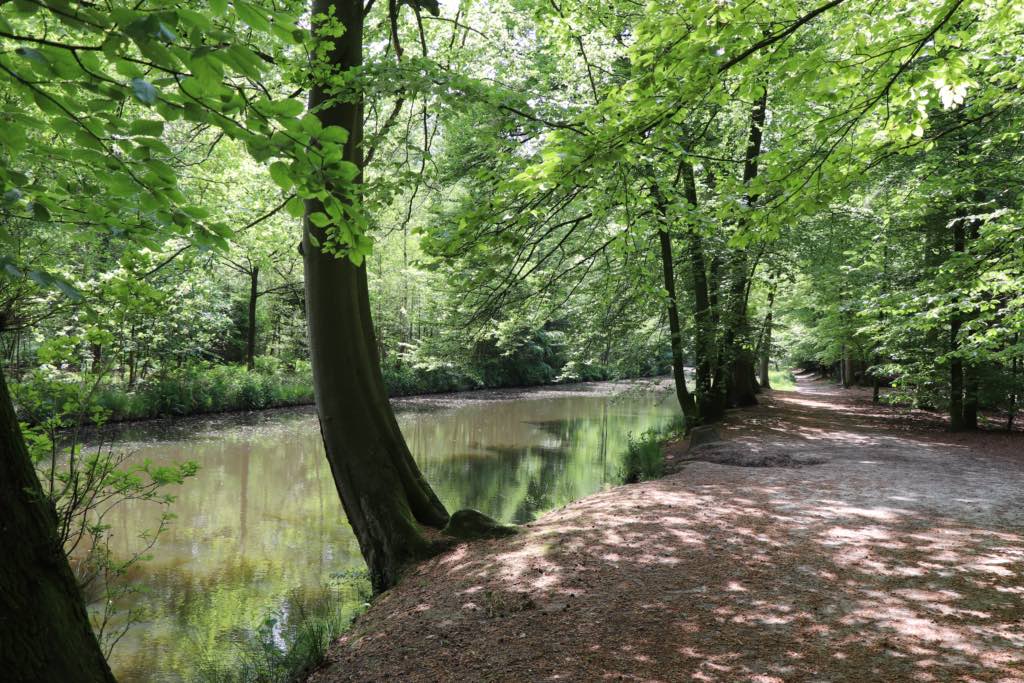 Lockhorsterbos-1