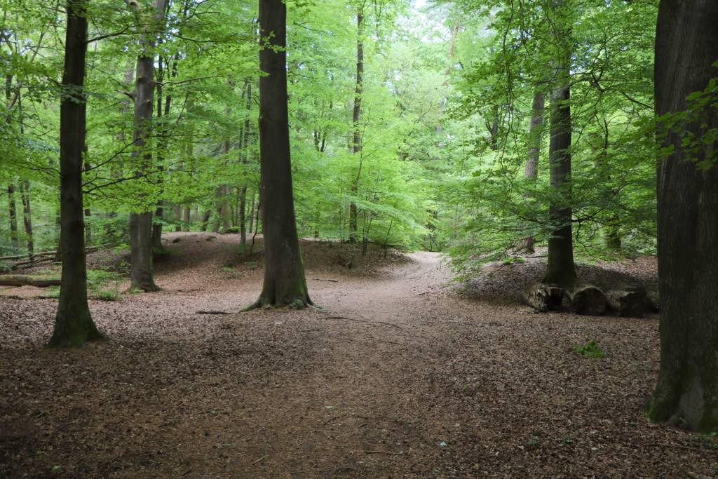 Lockhorsterbos-4