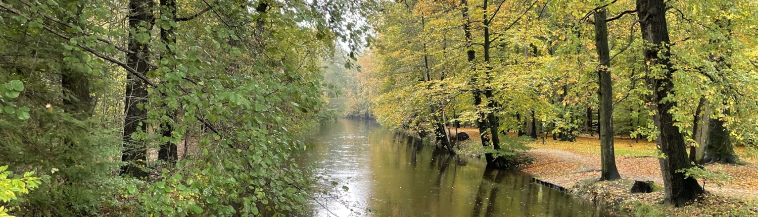 lockhorsterbos herfst