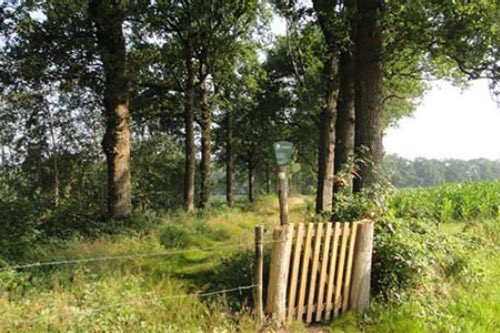 breeschoterpad