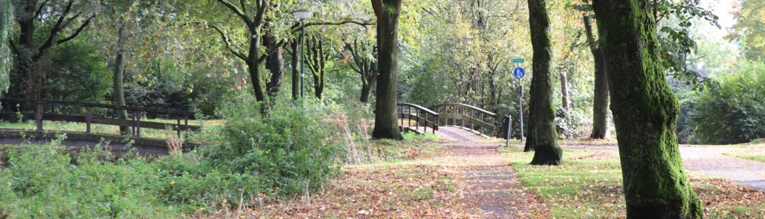 Cohensteeg herfst