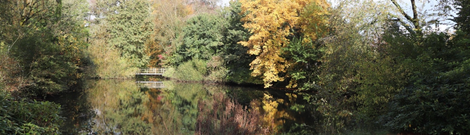 Park Princenhof herfst