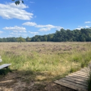 Landgoed Het Paradijs