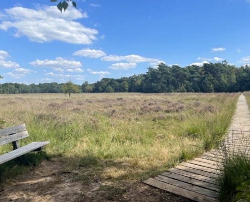 Landgoed Het Paradijs