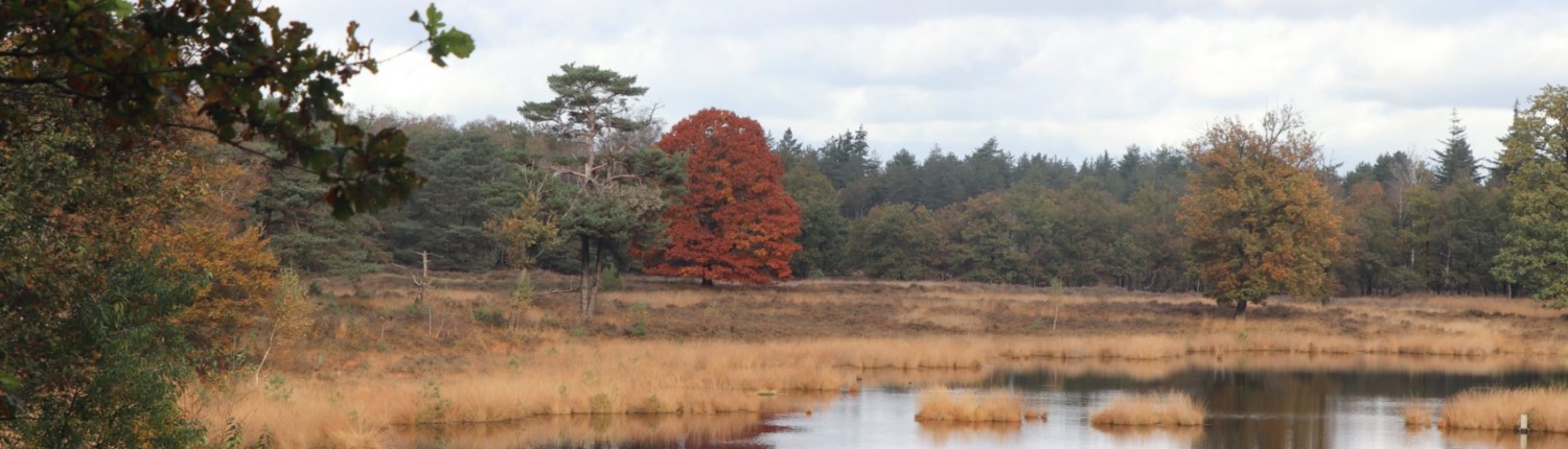 Treekermeertje herfst
