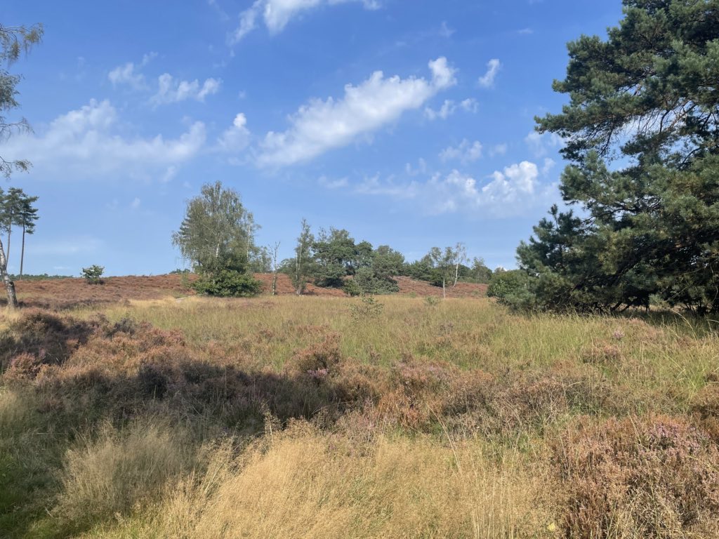 Leusderheide Leusderheide