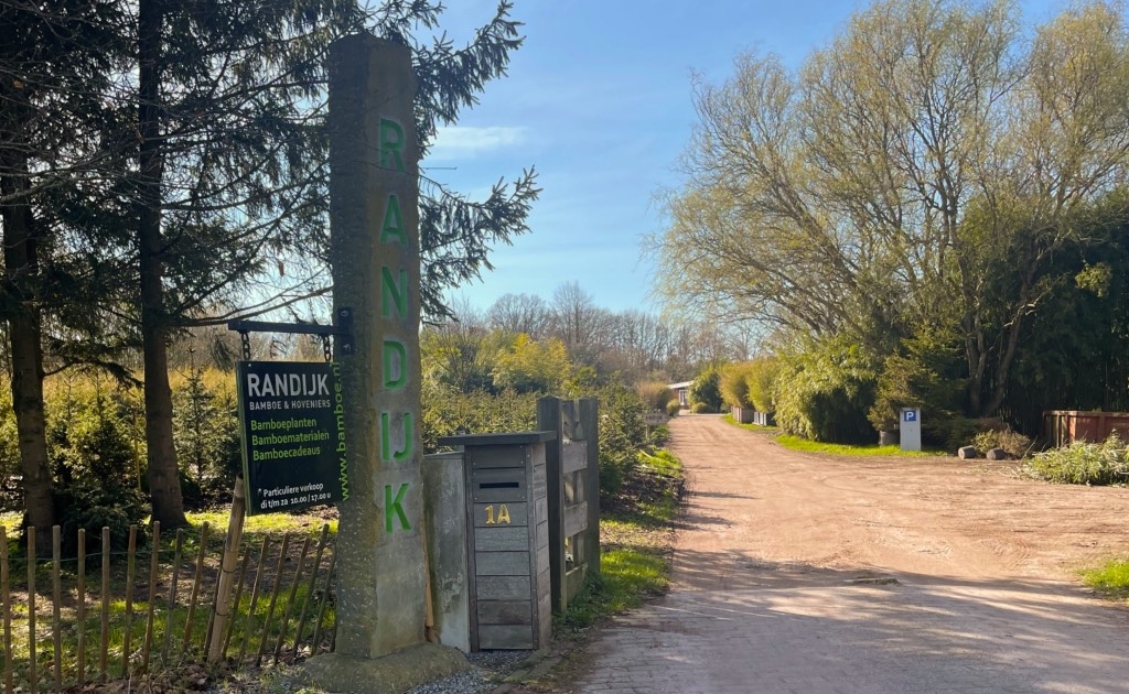 Randijk bamboe