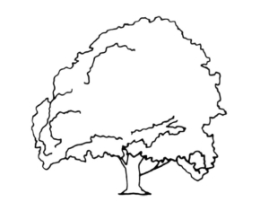 Logo Stichting De Boom