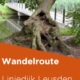 Wandelknooppuntenroute Liniedijk Leusden zuid